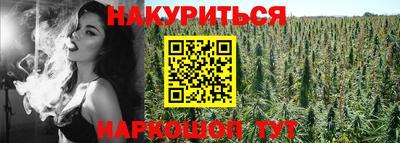 трава Гай