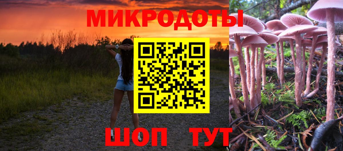 Галлюциногенные грибы Psilocybe  Вход с VPN  Гудермес  Псилоцибиновые грибы MAGIC MUSHROOMS 